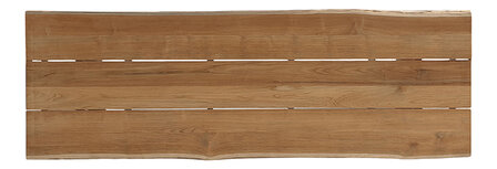 Traditional Teak NEO boomstam Tuintafel 300 x 100 cm