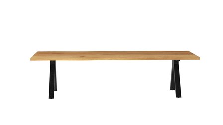 Traditional Teak NEO boomstam Tuintafel 300 x 100 cm